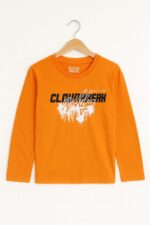 T-shirt garçon manches longues 1-16 ans – Disponible en 5 couleurs - Image 2