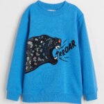 Sweat Garçon Col Rond - Imprimés Tendance & Sequins (Star Wars Gris / Léopard Bleu) - Image 4