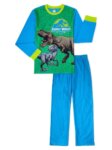 Lot 2 Pyjamas Garçon - Minecraft & Jurassic World - Manches Longues Bleus et Verts