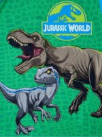 Lot 2 Pyjamas Garçon - Minecraft & Jurassic World - Manches Longues Bleus et Verts - Image 4