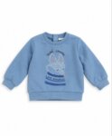 Sweat Bébé / Garçon Bleu Ciel Imprimé Renard "Rusé comme un Renard" – Pull Molleton Doux