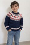 Pull en maille jacquard motif rouge-gorge et jacquard nordique Next - Enfant (Garçon / Fille)