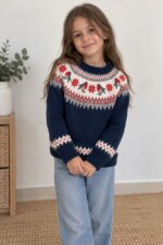 Pull en maille jacquard motif rouge-gorge et jacquard nordique Next - Enfant (Garçon / Fille) - Image 3