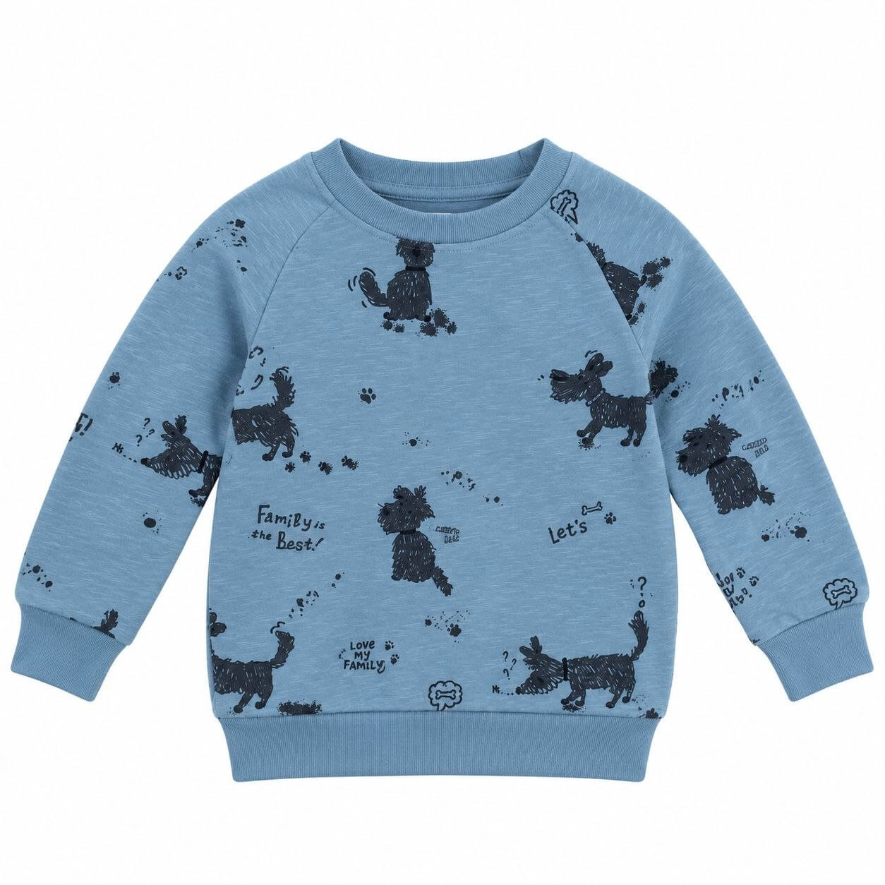 IMAGE 2026-10-03 13:14:35 Sweat-shirt bleu clair imprimé chiens et messages - Garçon / Enfant / Bébé - Image 1