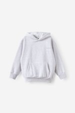 Sweat à Capuche Garçon Gris Clair